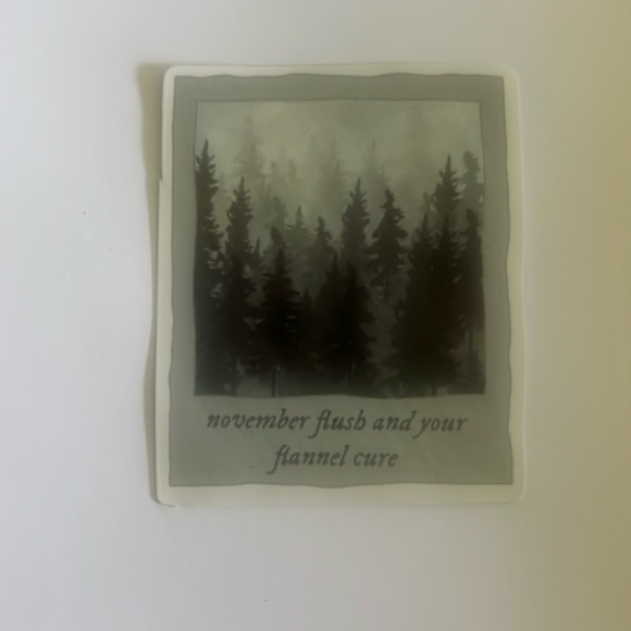 ⚪️Taylor Swift “Champagne Problems” Vinyl Sticker - Picture 2 of 2